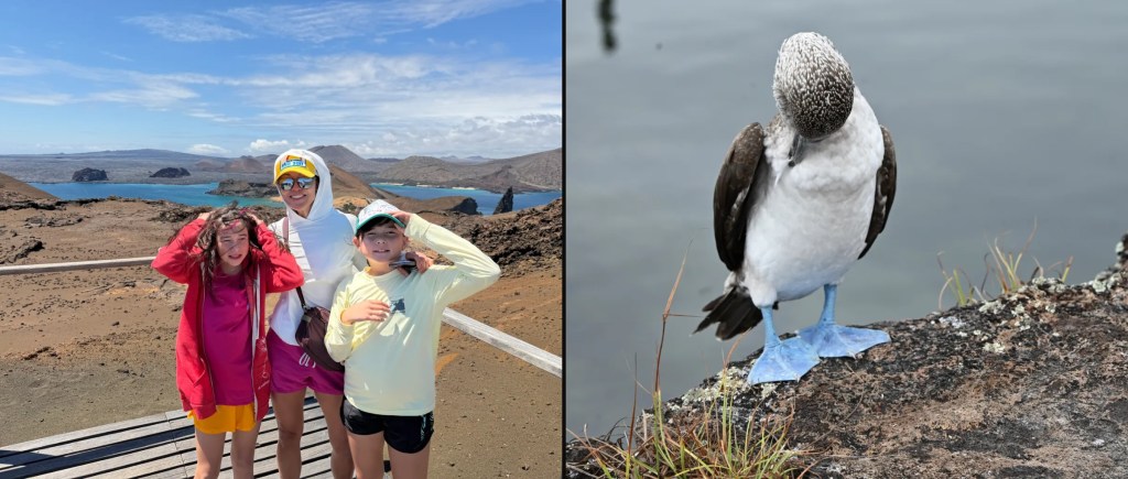 The family at the Bartolomé Island viewpoint, and a blue-footed booby in the Galápagos
