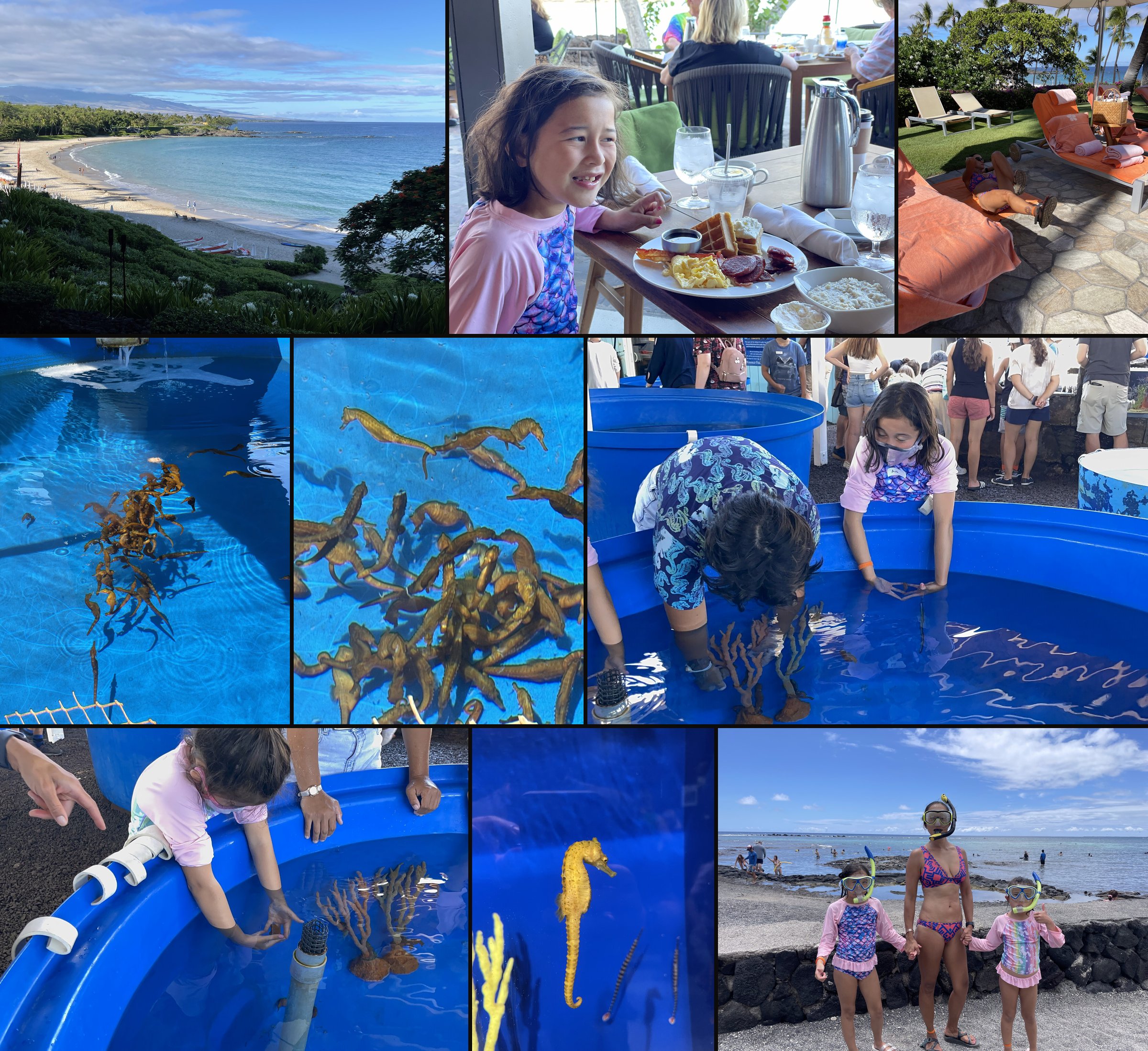 Breakfast with a view, a seahorse farm and snorkeling in Kona, Hawaii, July 2021