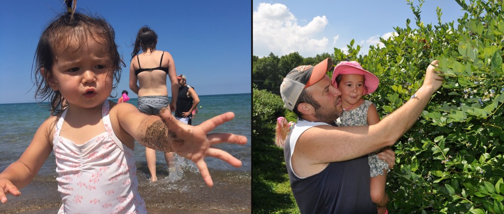 Jacobs family in Michigan City, July 2016: Header