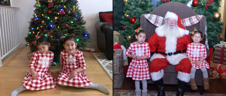 Ava and Harlow in matching gingham dresses by the tree and with Santa, Christmas 2017